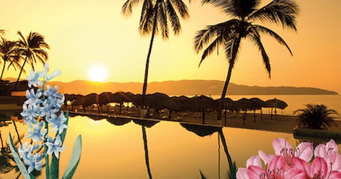 Spring is Here! Krystal Beach Acapulco Hotel Acapulco